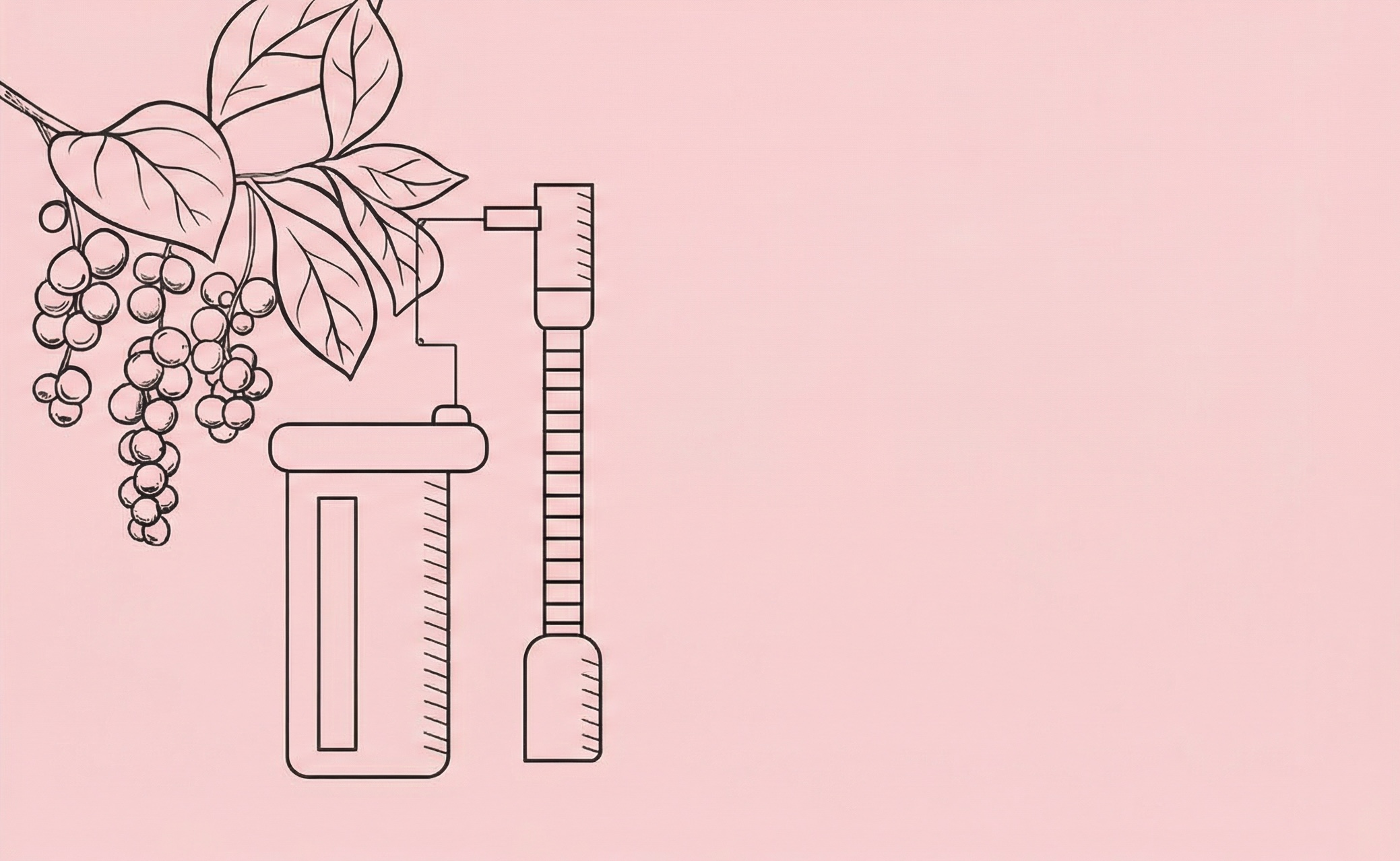 Kontrola kvality extraktu