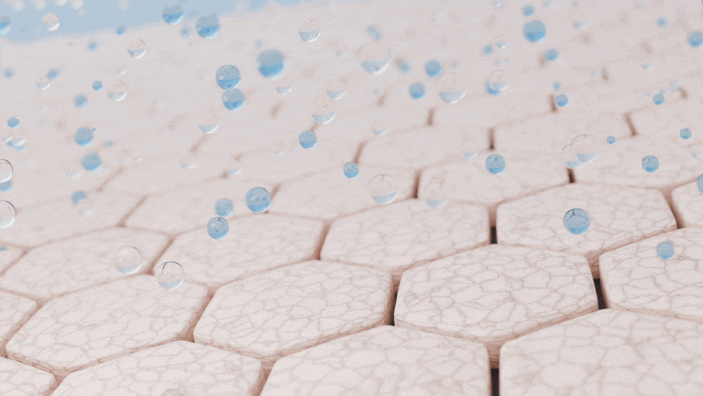 NAD buněčná regenerace