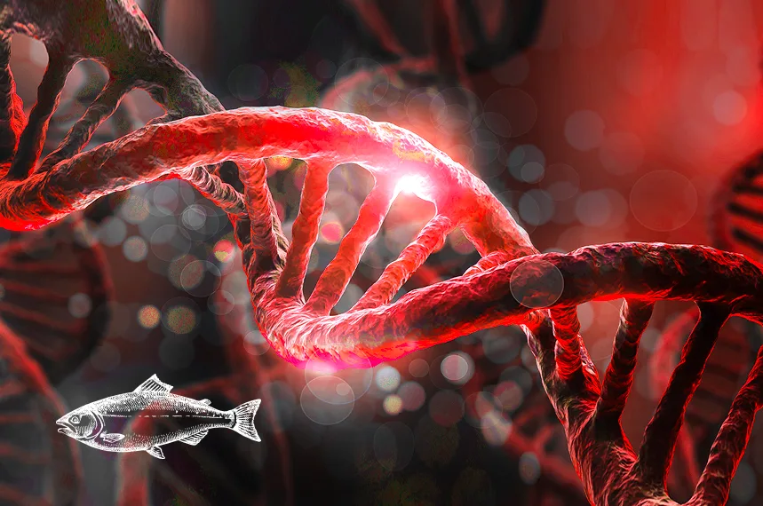 DNA spirála a&nbsp;losos