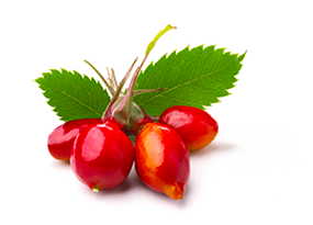 Extrakt z plodů Zanthoxylum piperitum