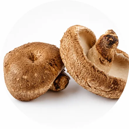 Beta-glukan — houby shiitake